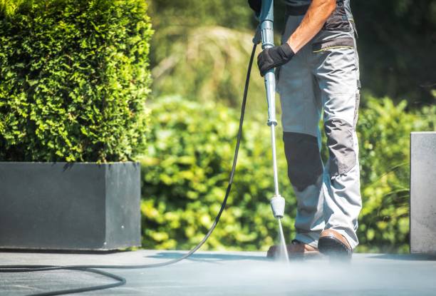 Best Building Exterior Washing  in Passapatanzy, VA