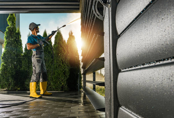 Best Boat and Dock Cleaning  in Passapatanzy, VA