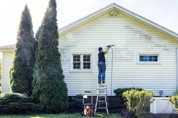 Best Spring Cleaning  in Passapatanzy, VA